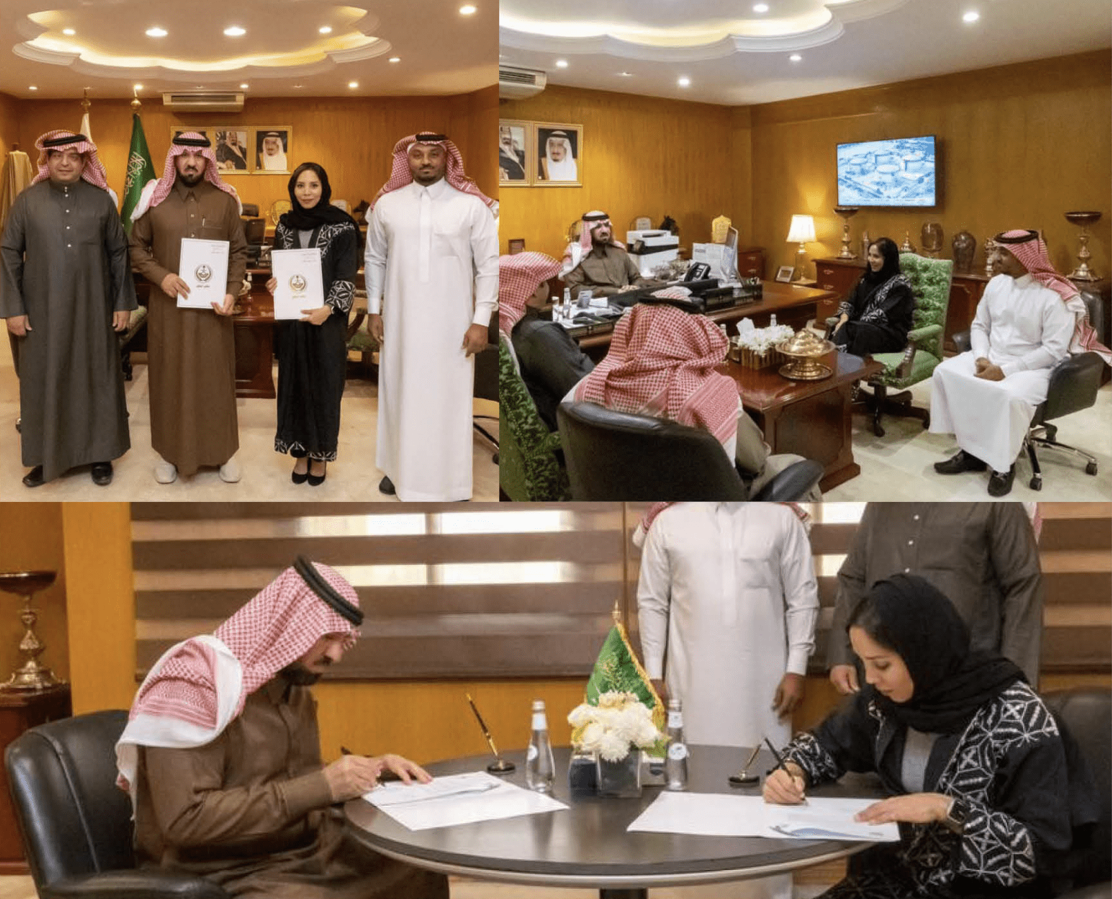 Al Jawf Region Strategic Agreement Signing